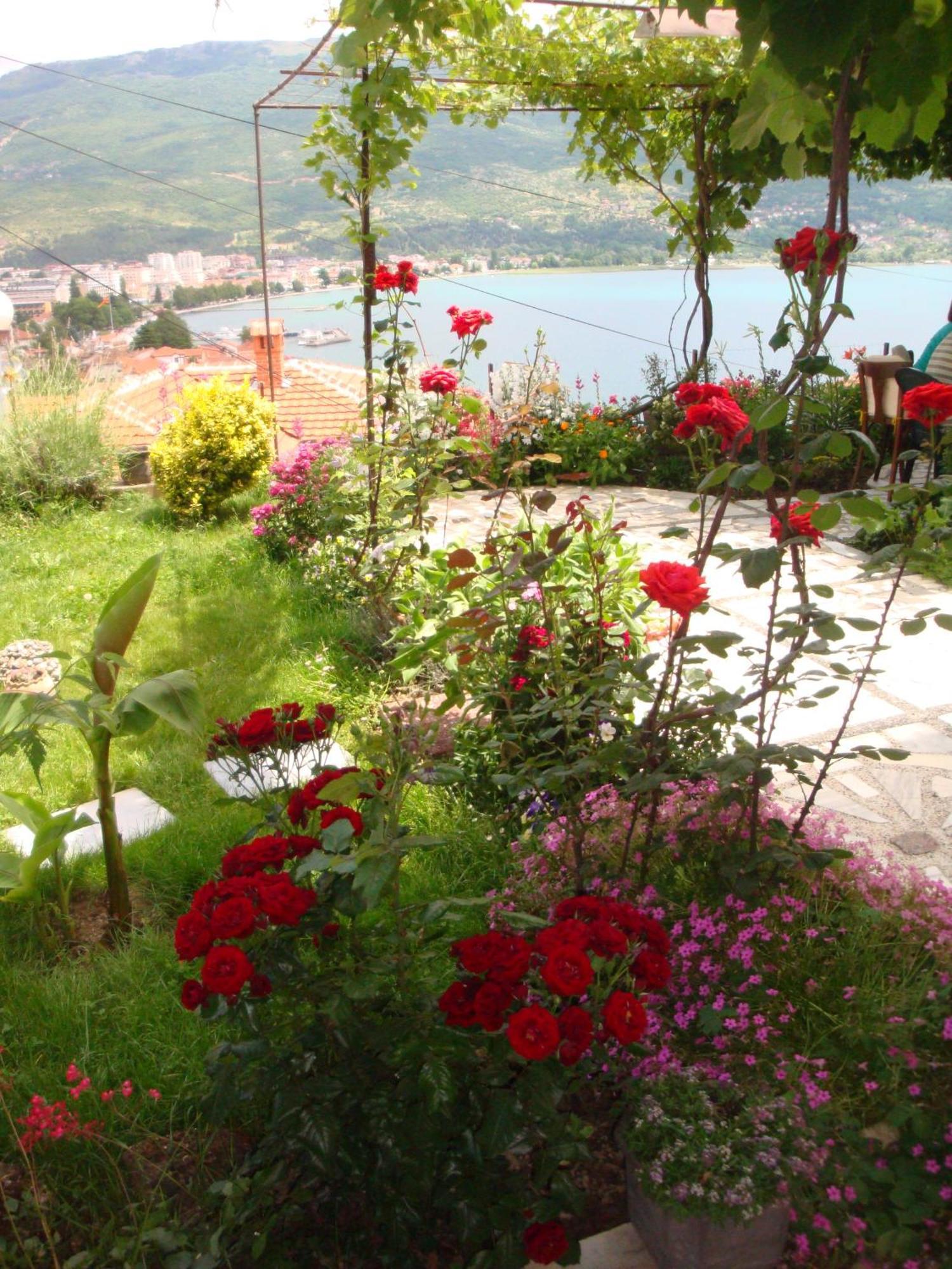Apartments Villa Saray โอครีด ภายนอก รูปภาพ