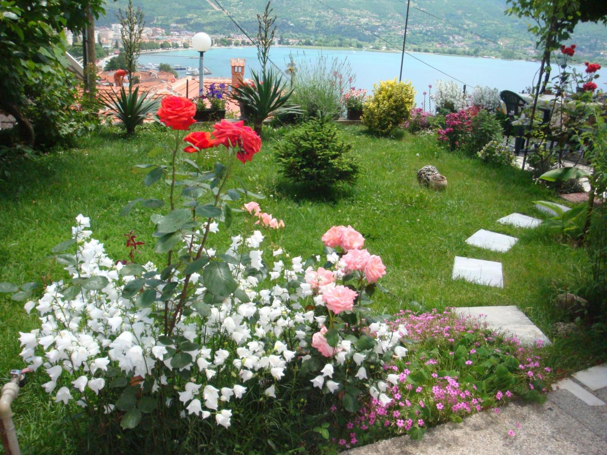 Apartments Villa Saray โอครีด ภายนอก รูปภาพ